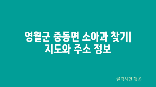 강원도 영월군 중동면 소아과 위치 정보