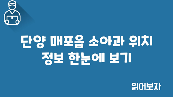 충청북도 단양군 매포읍 소아과 위치 정보