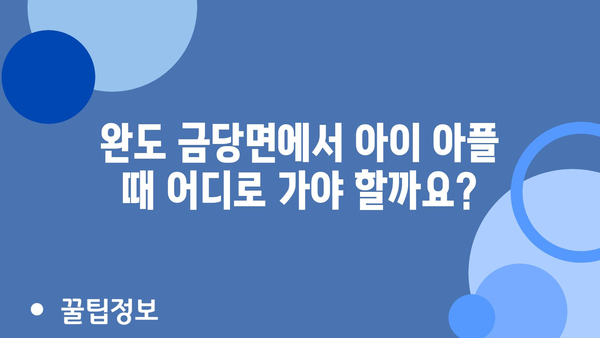 전라남도 완도군 금당면 소아과 위치 정보