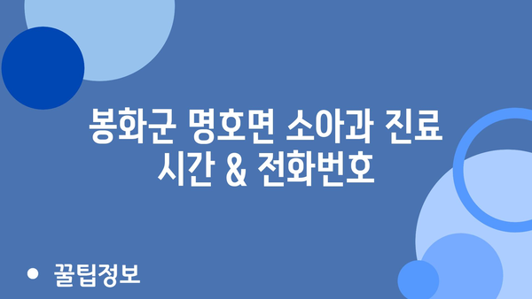 경상북도 봉화군 명호면 소아과 위치 정보