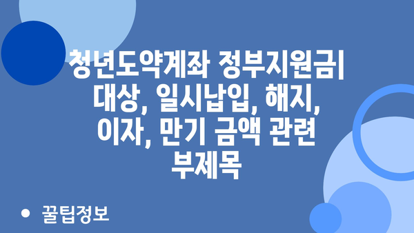 청년도약계좌 정부지원금: 대상, 일시납입, 해지, 이자, 만기 금액