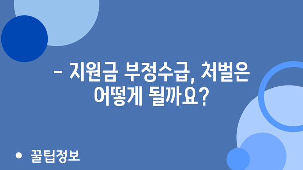 정부지원금 부정수급 대응책