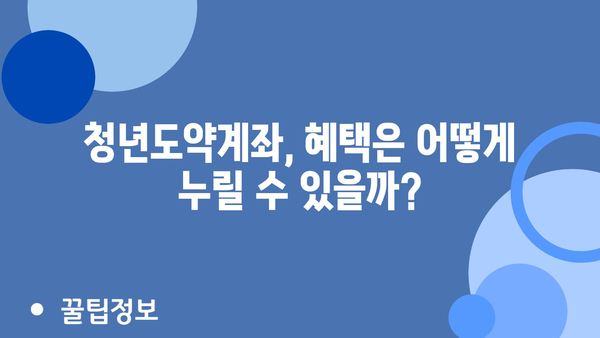 청년도약계좌 정부지원금: 조건, 일시납입, 해지, 혜택