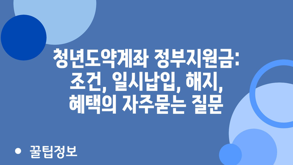 청년도약계좌 정부지원금: 조건, 일시납입, 해지, 혜택