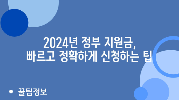 2024년 정부 지원금 금액 및 신청 방법