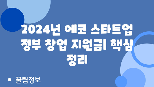 2024년 에코 스타트업 정부 창업 지원금