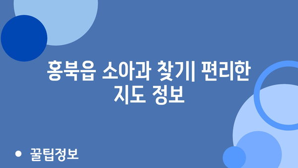 충청남도 홍성군 홍북읍 소아과 위치 정보