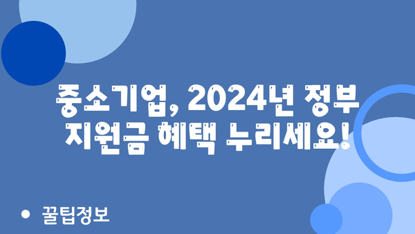 중기업 2024년 정부 지원금 내용 이해하기