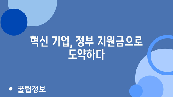 국가 혁신과 성장: 정부 지원금의 촉매 역할