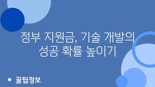 정부 지원금 활용으로 기술 개발 리스크 관리