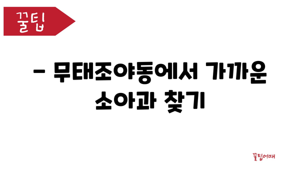 대구시 북구 무태조야동 소아과 위치 정보