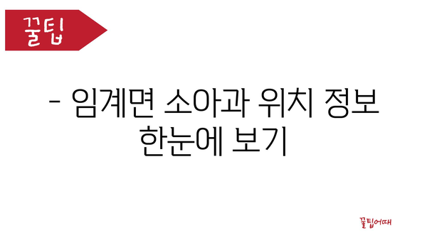 강원도 정선군 임계면 소아과 위치 정보