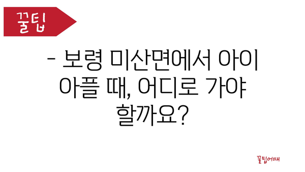 충청남도 보령시 미산면 소아과 위치 정보