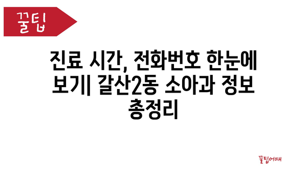 인천시 부평구 갈산2동 소아과 위치 정보