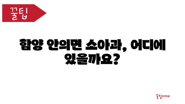 경상남도 함양군 안의면 소아과 위치 정보