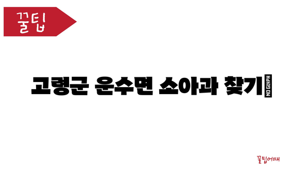 경상북도 고령군 운수면 소아과 위치 정보