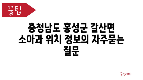 충청남도 홍성군 갈산면 소아과 위치 정보