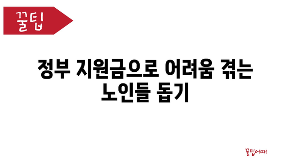 저소득 노인 위한 생활 지원금: 정부지원금으로 안정적인 노후 누리기