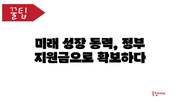 국가 혁신과 성장: 정부 지원금의 촉매 역할