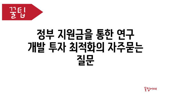 정부 지원금을 통한 연구 개발 투자 최적화