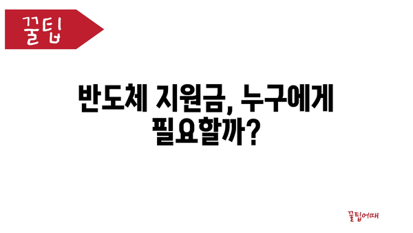 반도체 지원금, 삼성에선 사용하지 말까?