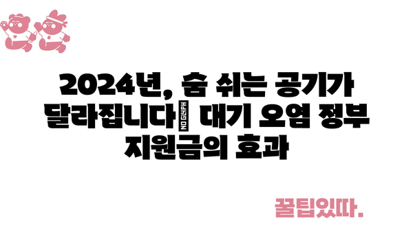 건강한 공기 호흡을 위한 2024년 대기 오염 정부 지원금