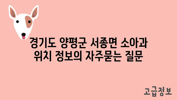 경기도 양평군 서종면 소아과 위치 정보