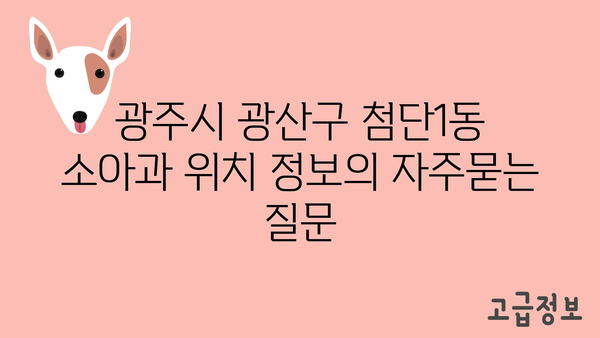 광주시 광산구 첨단1동 소아과 위치 정보