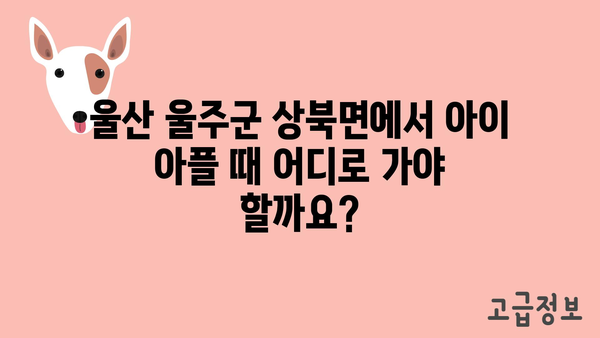 울산시 울주군 상북면 소아과 위치 정보