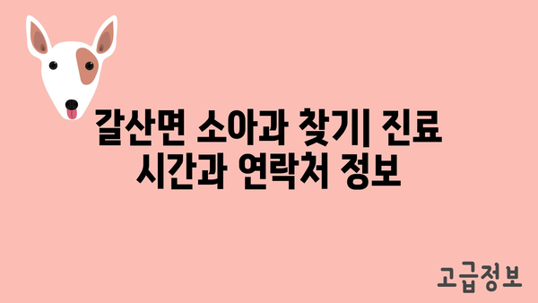 충청남도 홍성군 갈산면 소아과 위치 정보