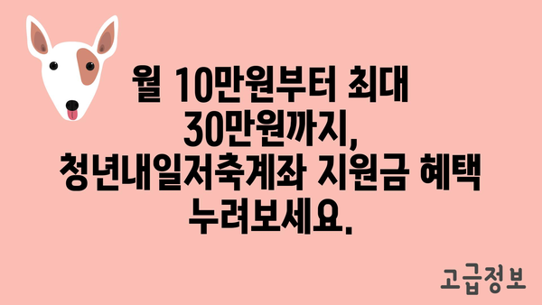 월 10만~30만원: 2024년 청년내일저축계좌 지원 금액 확대