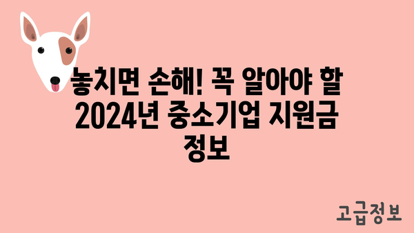 2024년 중소기업 정부 지원금 총정리: 모든 것을 한 눈에