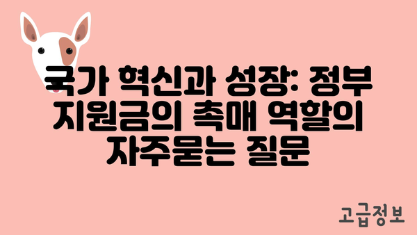 국가 혁신과 성장: 정부 지원금의 촉매 역할