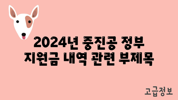 2024년 중진공 정부 지원금 내역