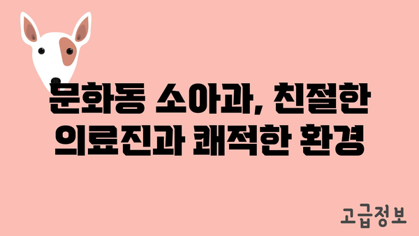 광주시 북구 문화동 소아과 위치 정보