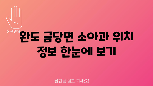 전라남도 완도군 금당면 소아과 위치 정보