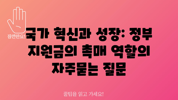 국가 혁신과 성장: 정부 지원금의 촉매 역할