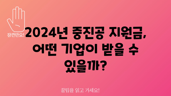 2024년 중진공 정부 지원금 내역