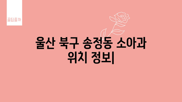 울산시 북구 송정동 소아과 위치 정보