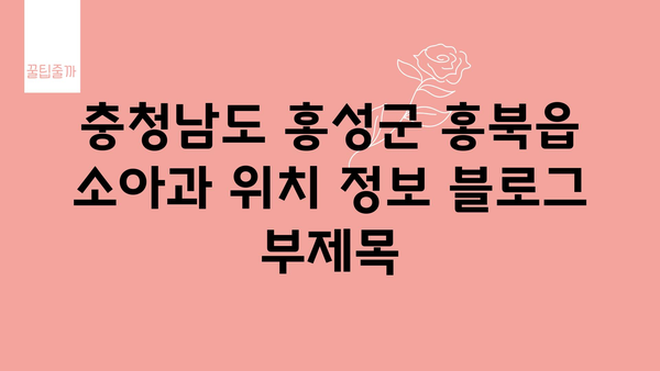 충청남도 홍성군 홍북읍 소아과 위치 정보