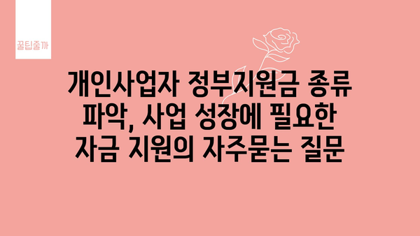 개인사업자 정부지원금 종류 파악, 사업 성장에 필요한 자금 지원