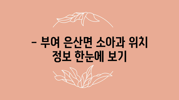 충청남도 부여군 은산면 소아과 위치 정보