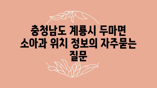 충청남도 계룡시 두마면 소아과 위치 정보