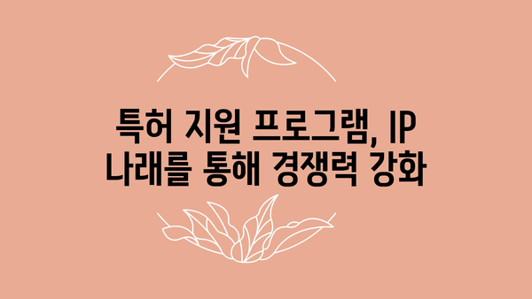 특허 정부 지원 사업: IP 나래 프로그램 및 수행 사례