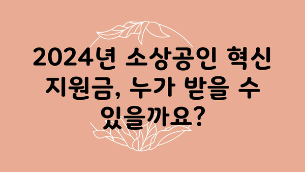 2024년 소상공인 혁신 지원금 신청 방법 및 정책자금 대상