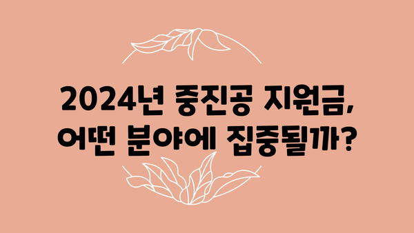 2024년 중진공 정부 지원금 내역