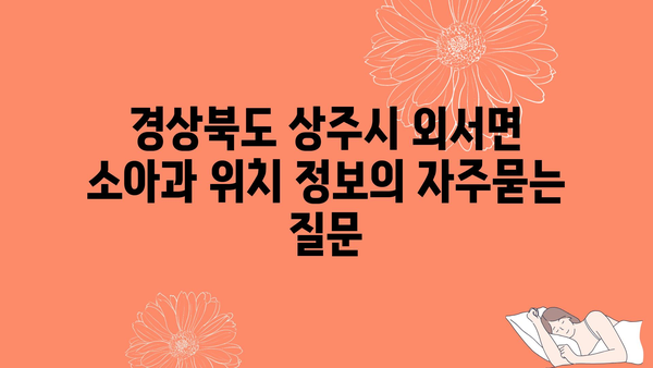 경상북도 상주시 외서면 소아과 위치 정보