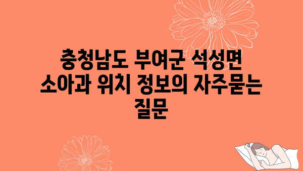 충청남도 부여군 석성면 소아과 위치 정보