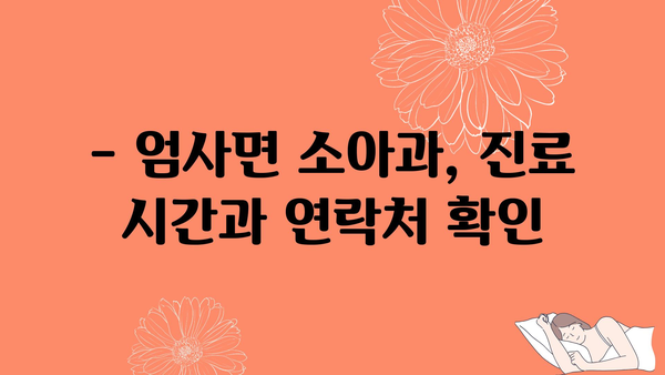 충청남도 계룡시 엄사면 소아과 위치 정보