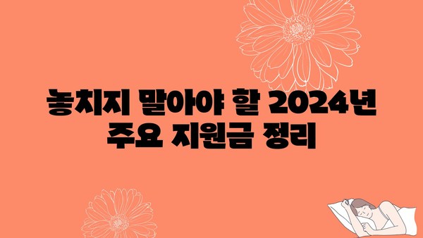 2024년 정부지원금 각종 혜택 확인하기